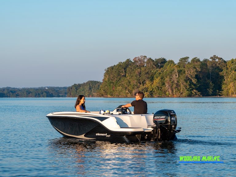 two people sitting idle in a bayliner element m15