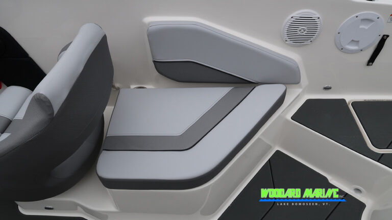 2026 Bayliner V20 jump seat transom seating Vermont